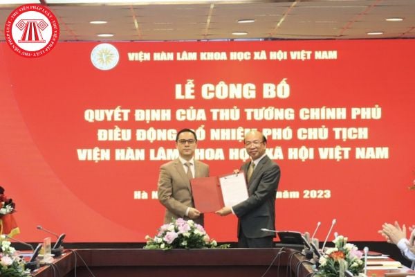 Pháp luật