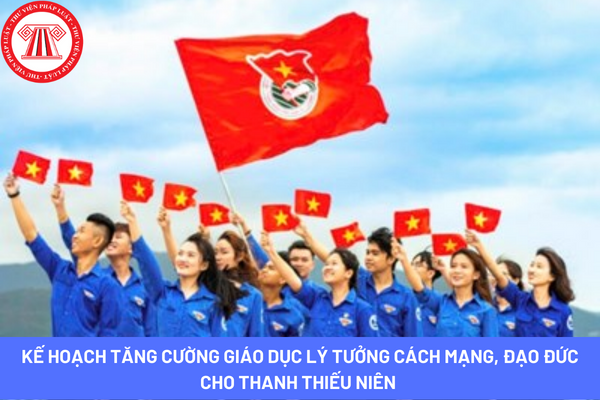 Pháp luật