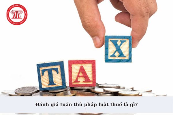 Pháp luật