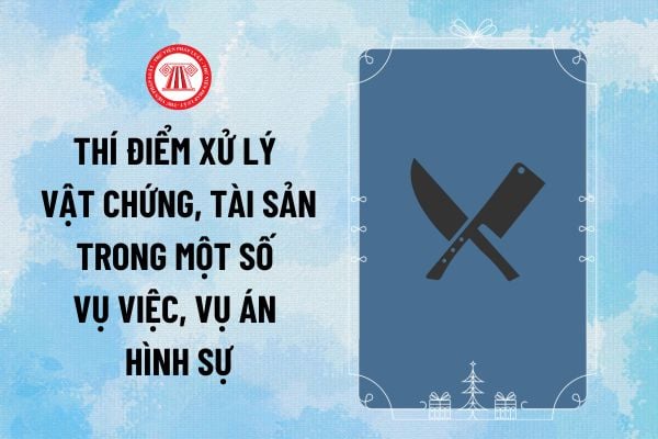 Pháp luật