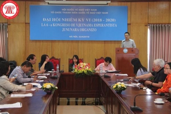 Pháp luật