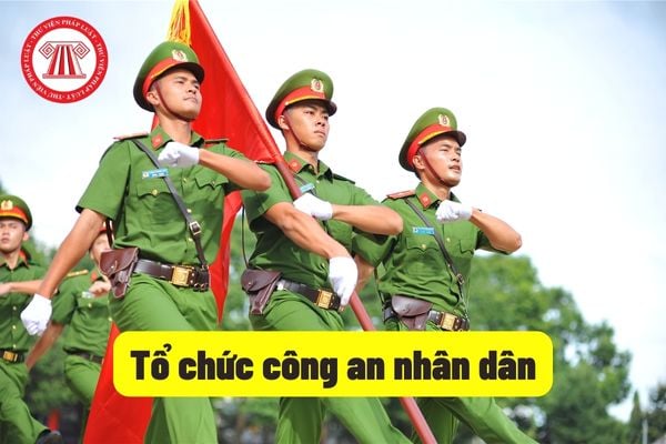 Tổ chức Công an nhân dân