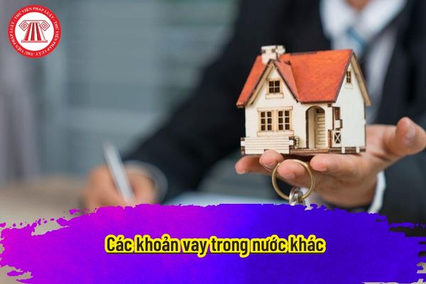 Các khoản vay trong nước khác