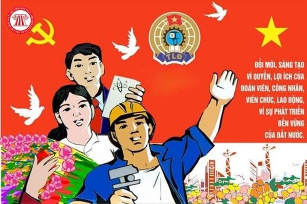 Pháp luật