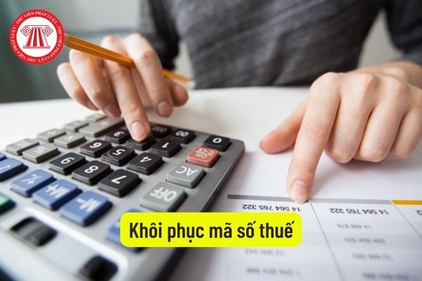 Khôi phục mã số thuế