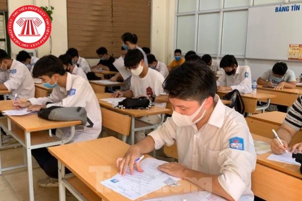 Pháp luật