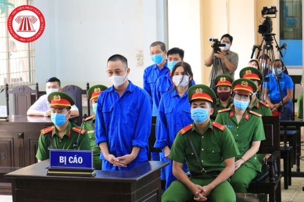 Pháp luật