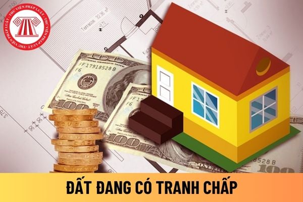 Pháp luật
