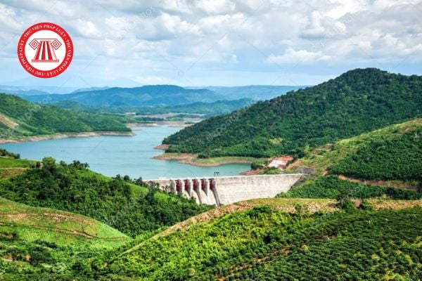 Pháp luật