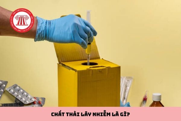 Pháp luật