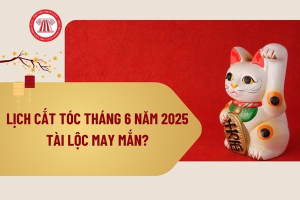 Pháp luật