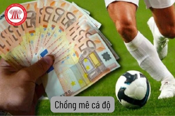 Pháp luật