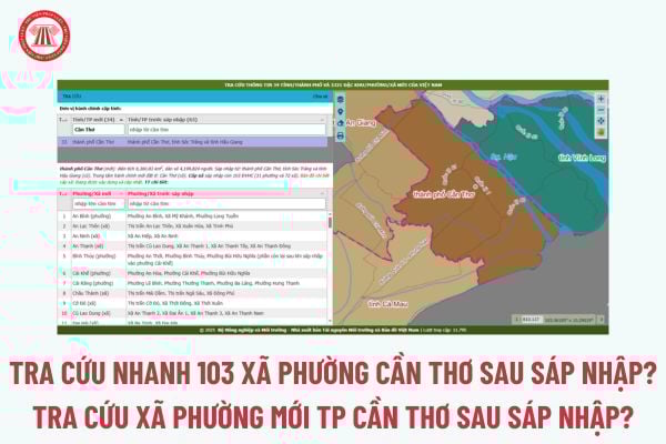 Pháp luật