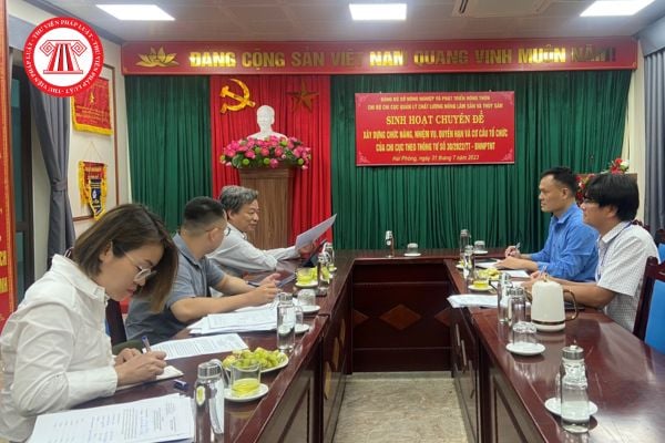 Pháp luật