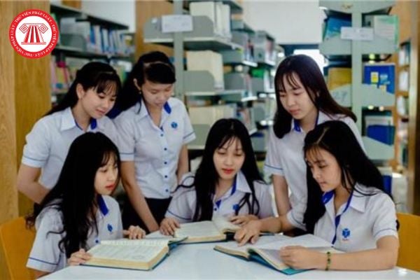 Pháp luật