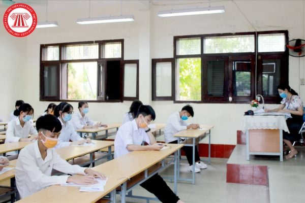 Pháp luật