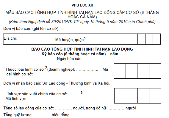 Phụ lục XII Nghị định 39 NĐ CP