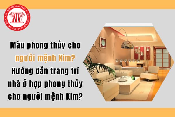 Pháp luật