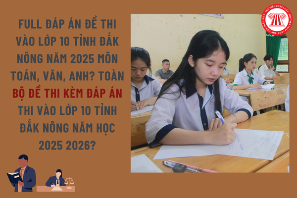 Pháp luật