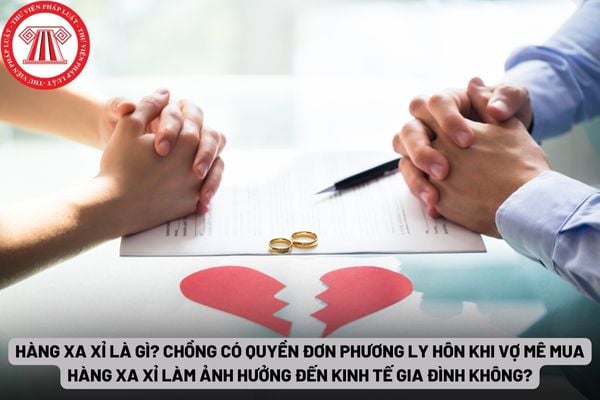 Pháp luật