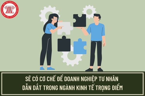 Doanh nghiệp tư nhân sẽ có vai trò dẫn dắt trong một số lĩnh vực, ngành kinh tế trọng điểm trong thời gian tới?