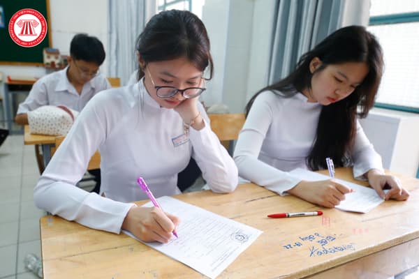 Pháp luật