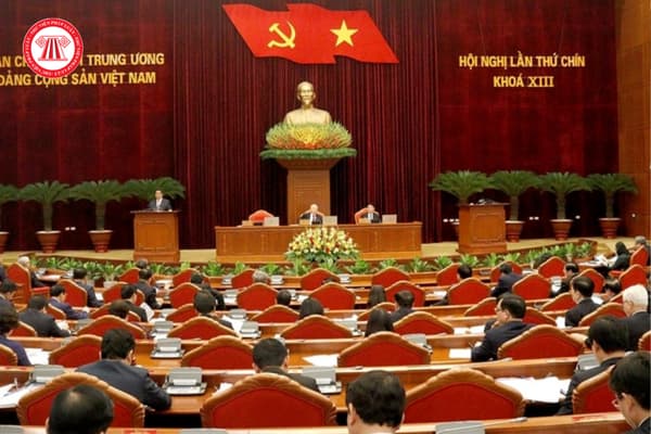 Pháp luật
