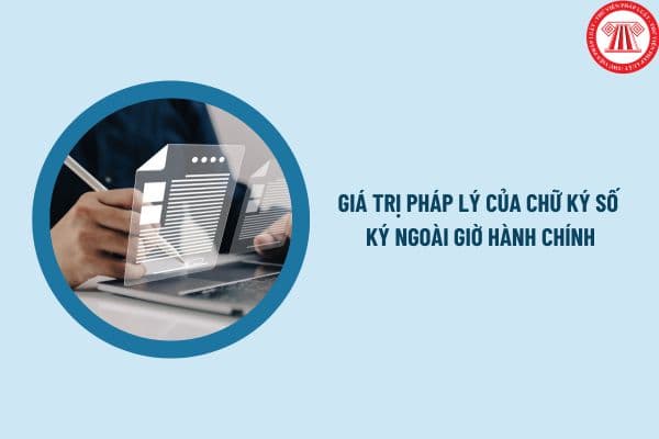 Pháp luật
