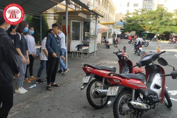 Pháp luật
