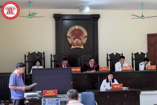 Pháp luật
