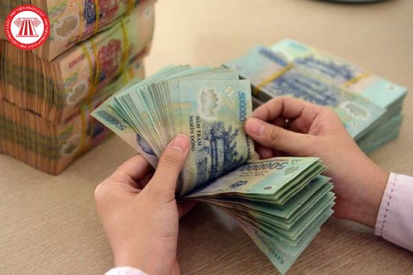 Pháp luật