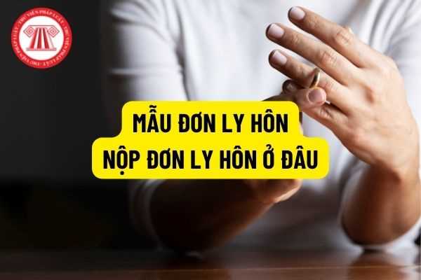 Pháp luật